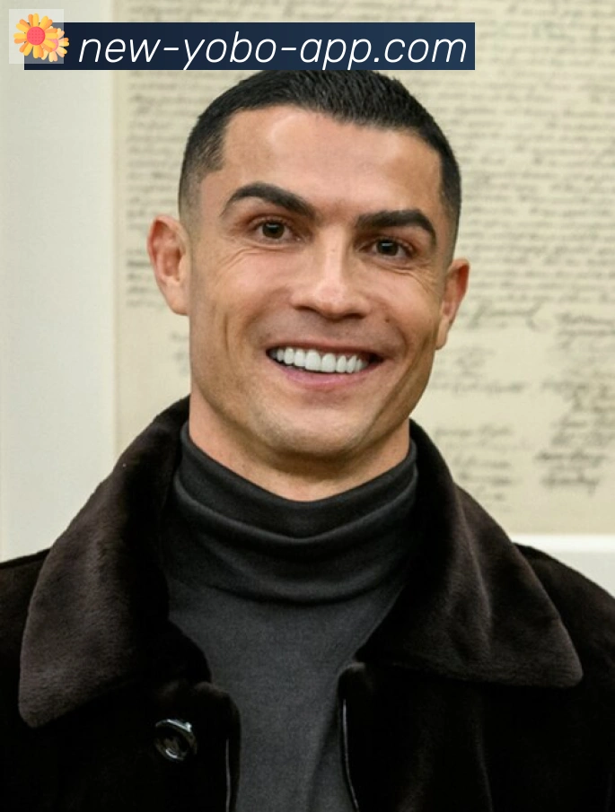 维尼修斯
